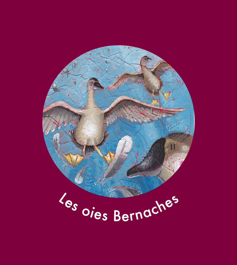 Les oies Bernaches - Berthe-Poule